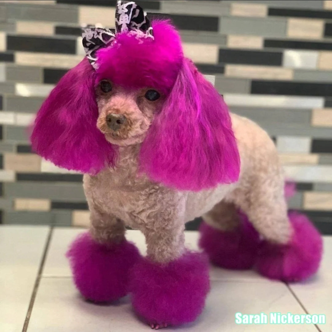 Pink dog hair dye best sale