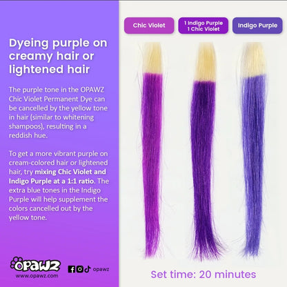 Chic Violet Permanent Hair Dye