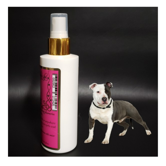 plumeria fragrance perfume for dogs